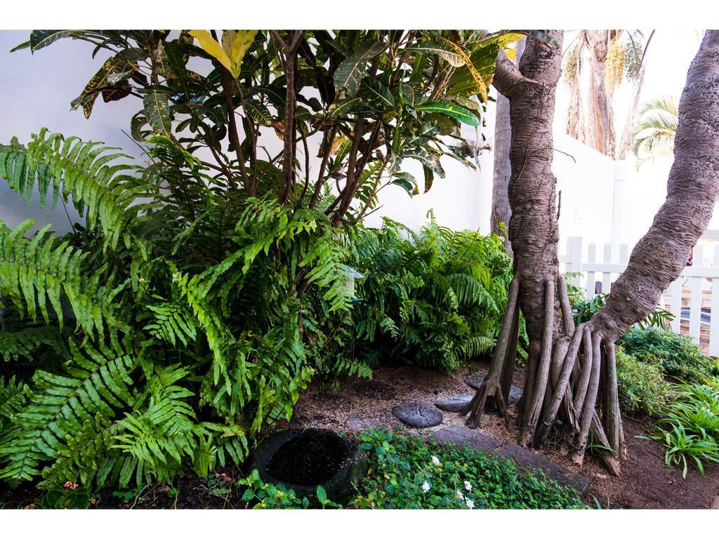 Flamingo Rocks Bed and Breakfast Durban Buitenkant foto